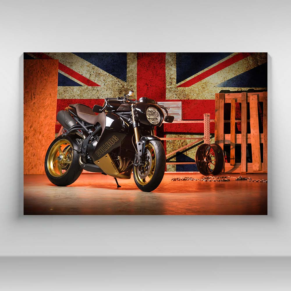 Motocicleta - Vilner Bulldog Special