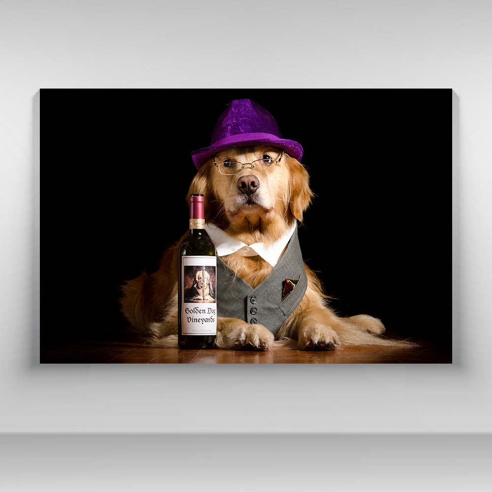 Perros - Retriever Golden Dog Vineyards
